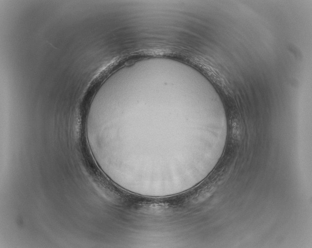 X0000115170304200911181412