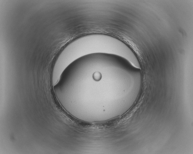 X0000115170305200911181412