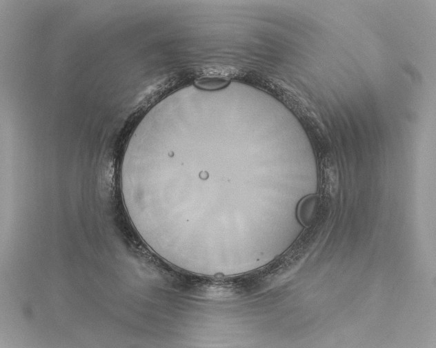 X0000115170308200911181412