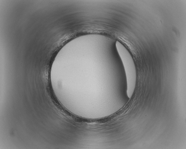 X0000115170309200911181412