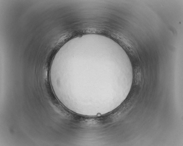 X0000115170310200911181412