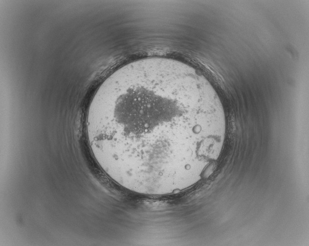 X0000115170311200911181411