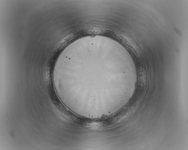 X0000115170312200911181411