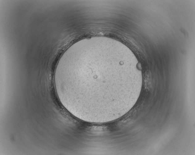 X0000115170314200911181411