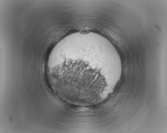 X0000115170315200911181411