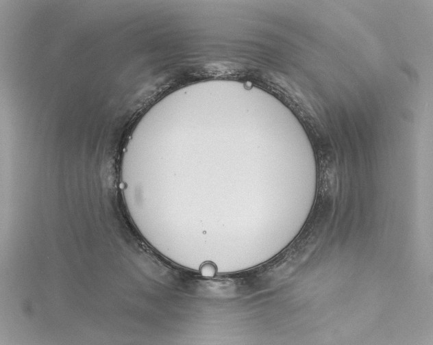 X0000115170317200911181411