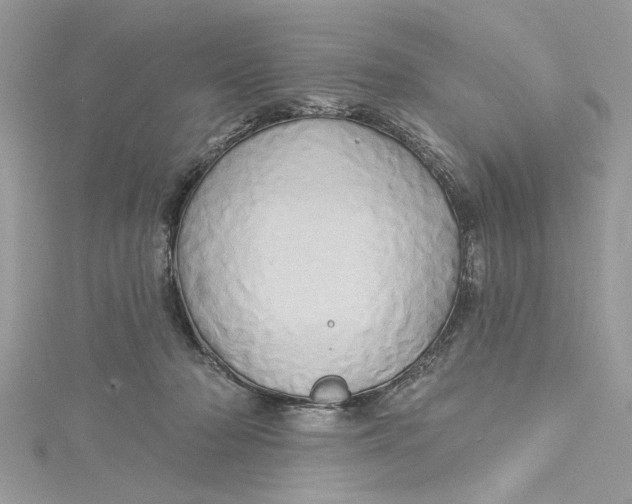 X0000115170318200911181411