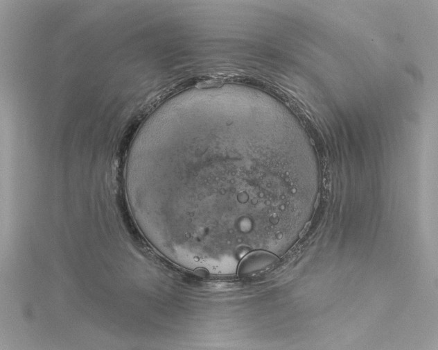 X0000115170319200911181411