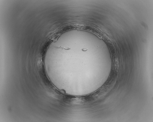 X0000115170320200911181411