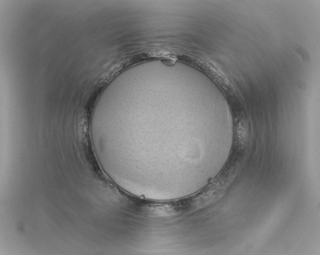 X0000115170322200911181411