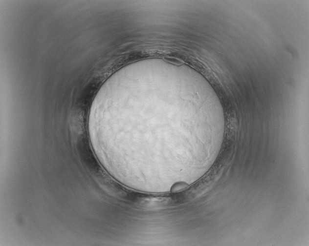 X0000115170323200911181411