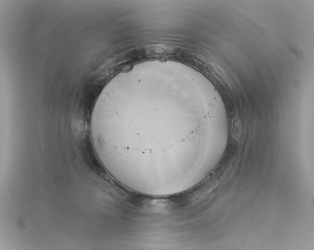 X0000115170324200911181411