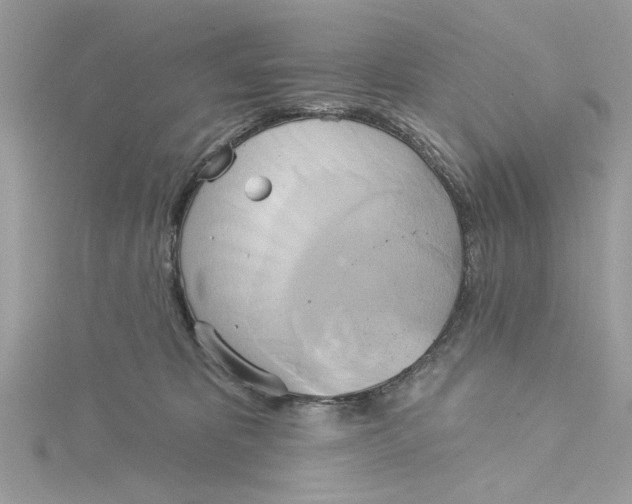 X0000115170325200911181411