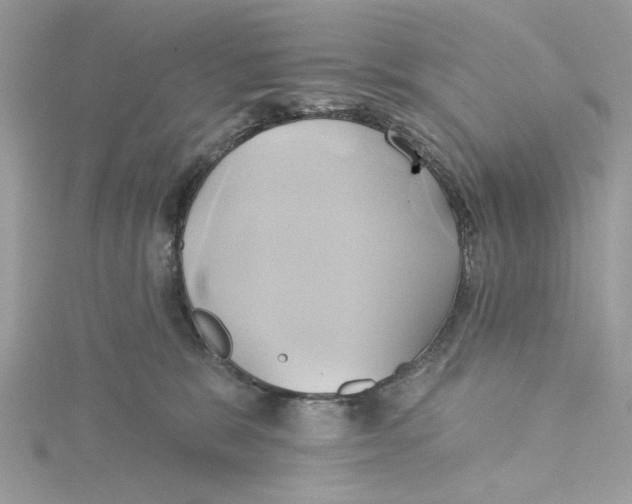 X0000115170327200911181411