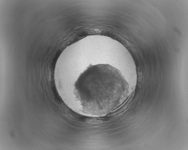 X0000115170331200911181411