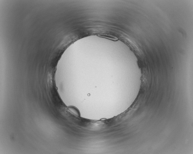 X0000115170333200911181411