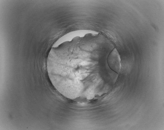 X0000115170335200911181411