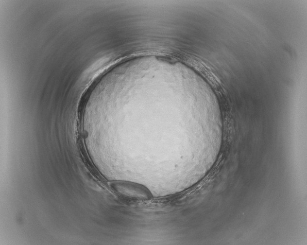 X0000115170338200911181410