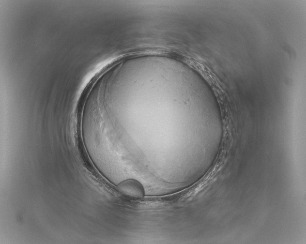 X0000115170342200911181410