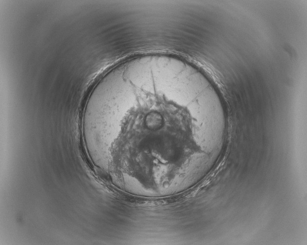 X0000115170345200911181410