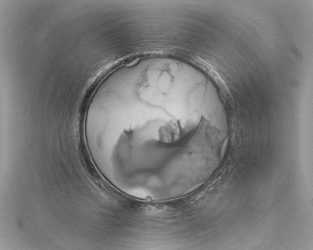 X0000115170346200911181411