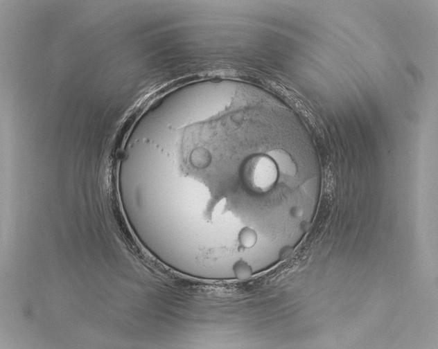 X0000115170347200911181411