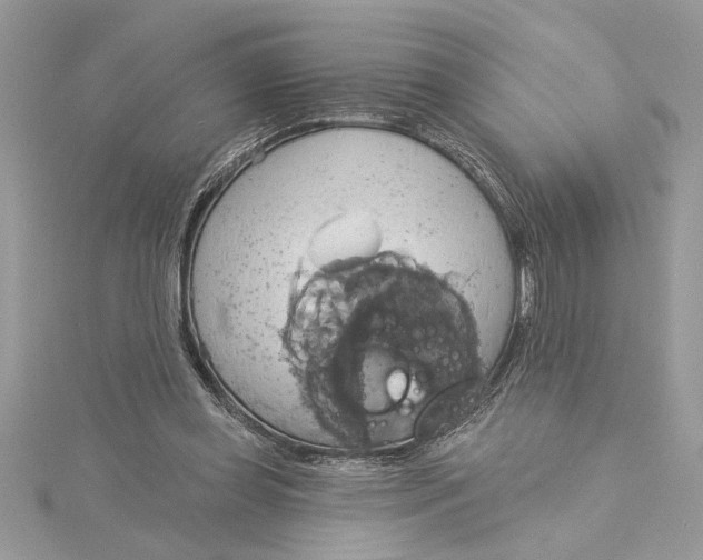 X0000115170349200911181411