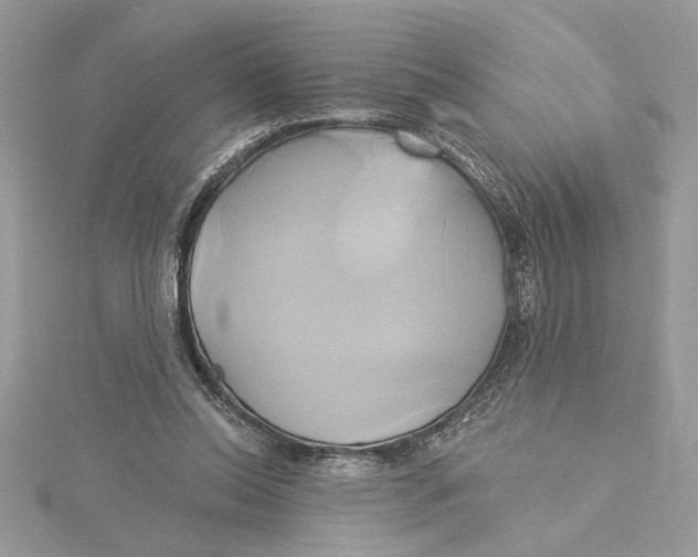 X0000115170350200911181411