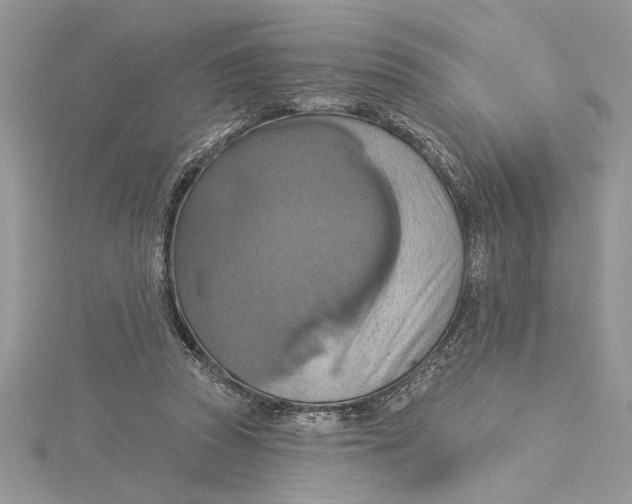 X0000115170353200911181411