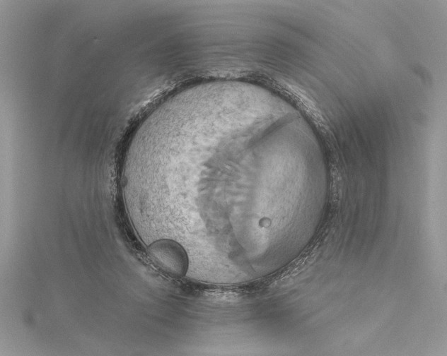 X0000115170354200911181411