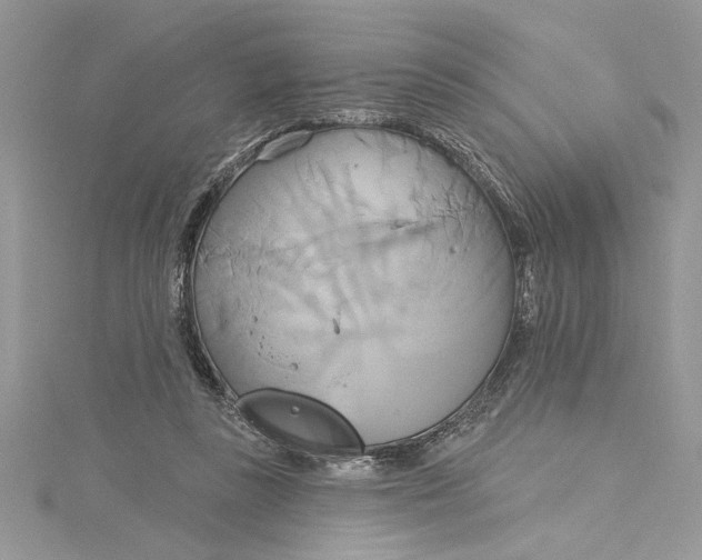 X0000115170355200911181411