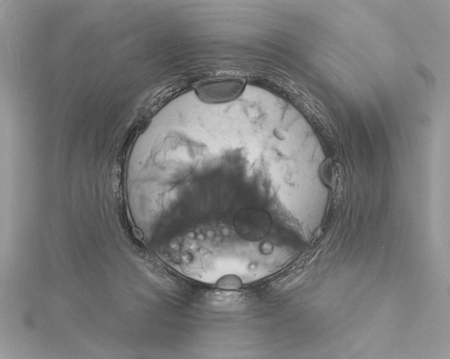 X0000115170361200911181411