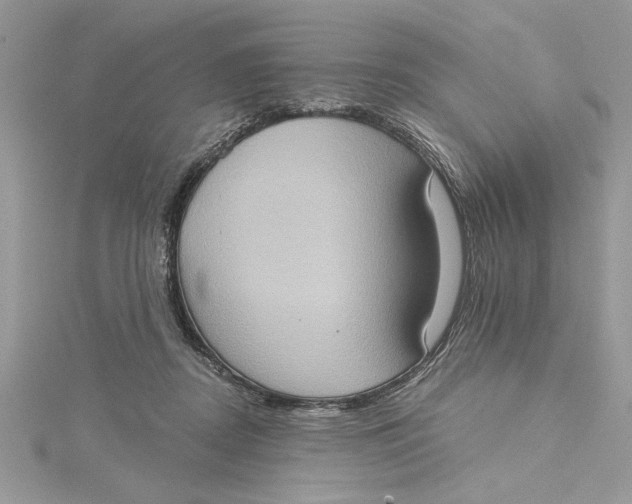 X0000115170362200911181411