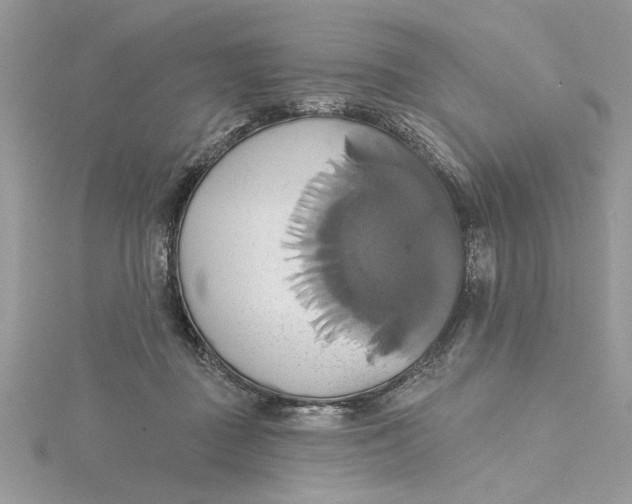 X0000115170363200911181411