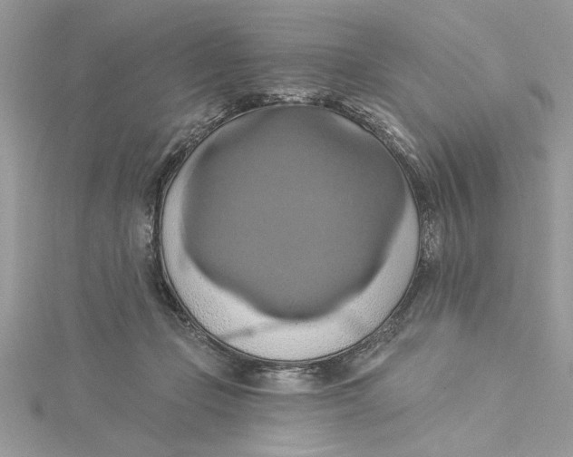 X0000115170365200911181411