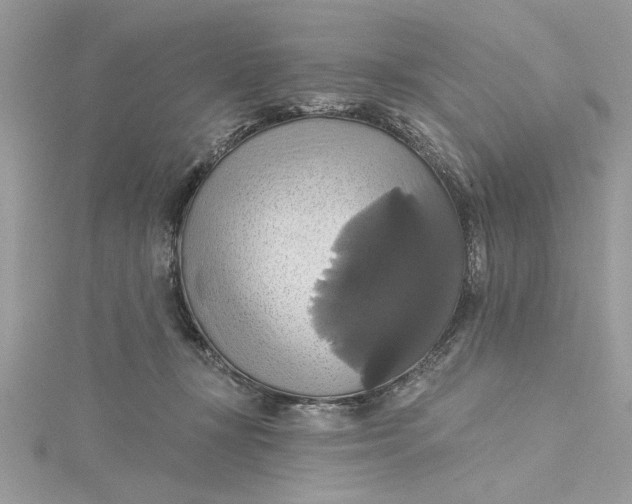 X0000115170367200911181411