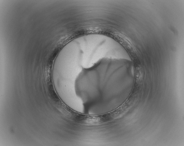 X0000115170369200911181411