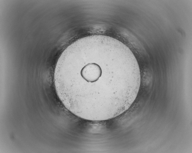 X0000115170370200911181411