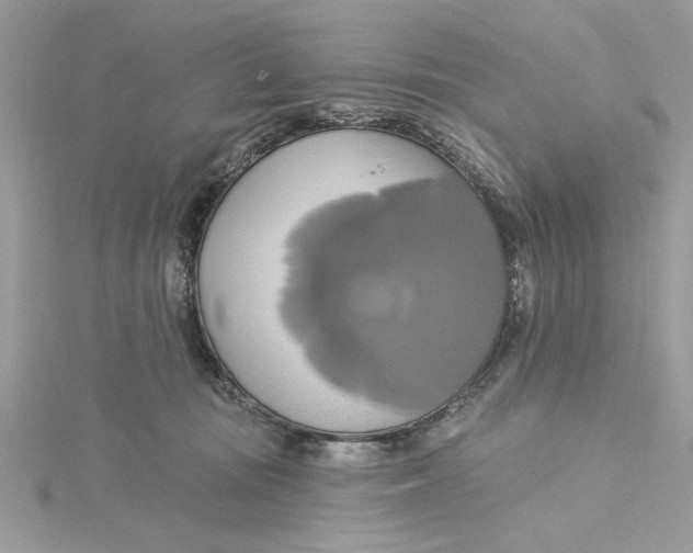 X0000115170371200911181411