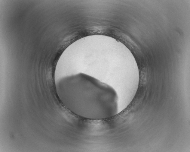 X0000115170377200911181411