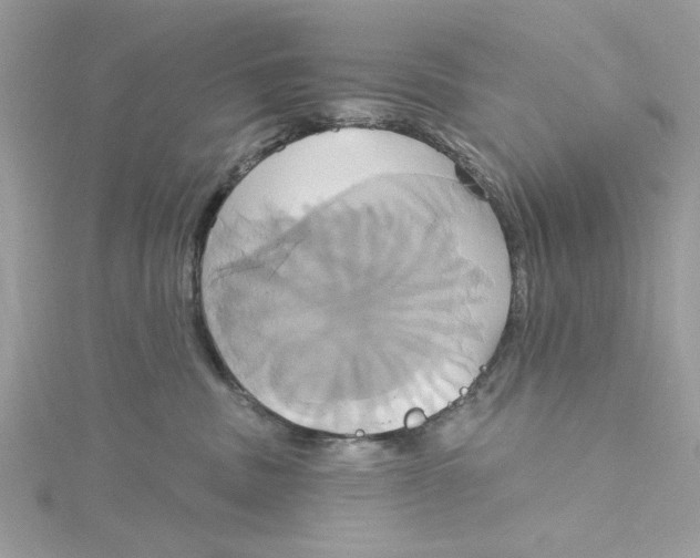 X0000115170379200911181411