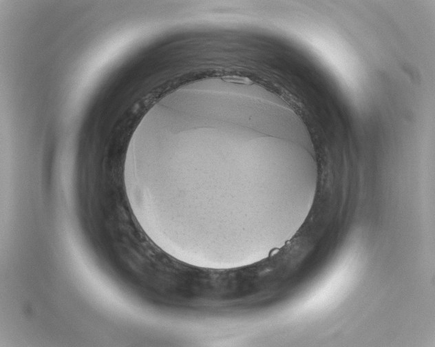 X0000115170383200911181411