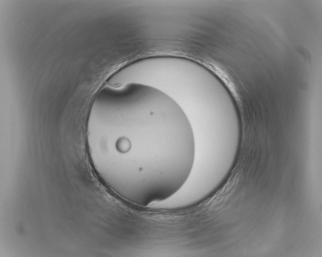 X0000115170385200911181410