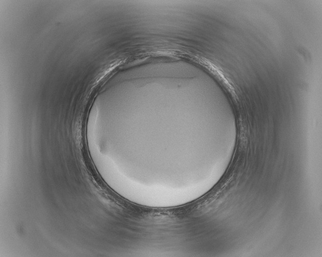 X0000115170386200911181410