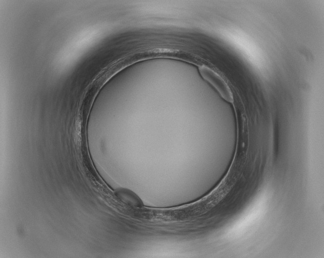 X0000115170387200911181410