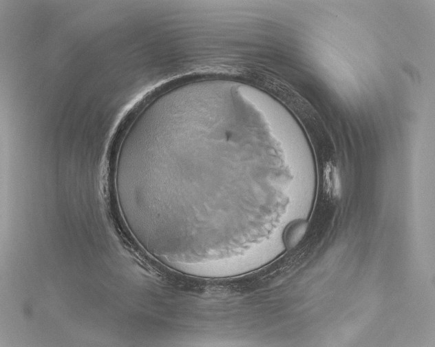 X0000115170388200911181410