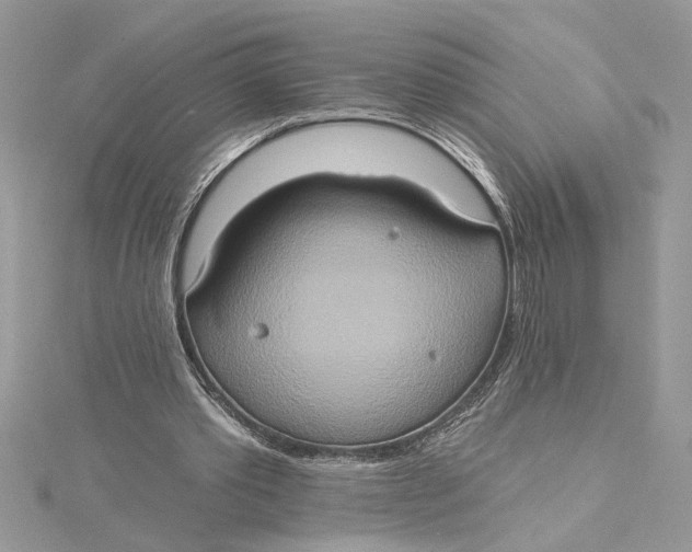 X0000115170389200911181410