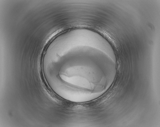 X0000115170390200911181410