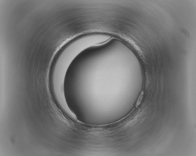 X0000115170391200911181410