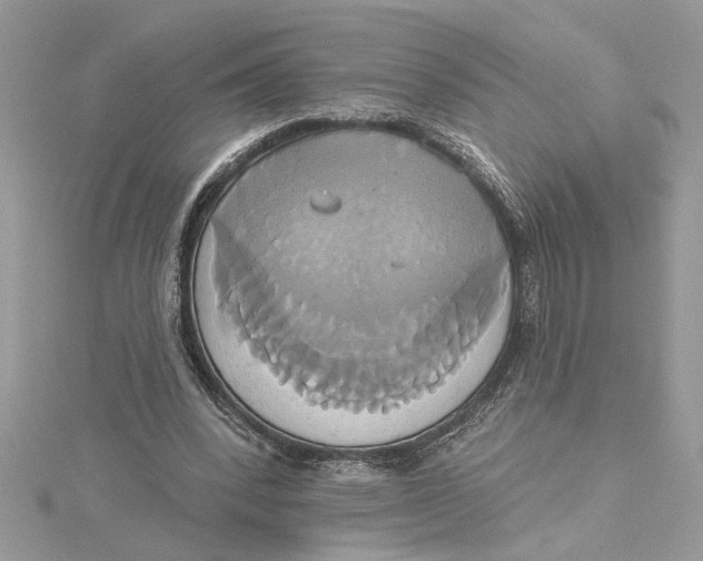 X0000115170392200911181410